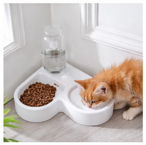 Aesthetic pet feeder in serene settings.png