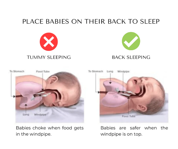 SnuggleNest™ Baby Neck Support Pillow